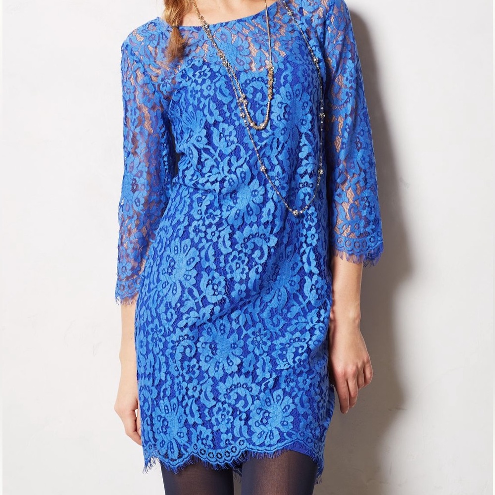Stunning Anthropologie Shift Dress size Small